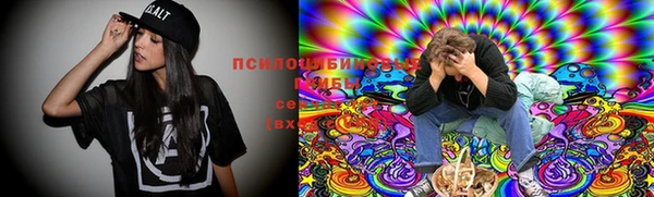 ECSTASY Остров