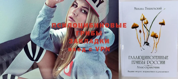 a pvp Осинники