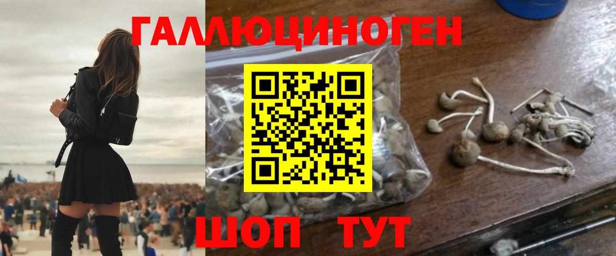 Псилоцибиновые грибы MAGIC MUSHROOMS  Псилоцибиновые грибы Psilocybe  Губаха 