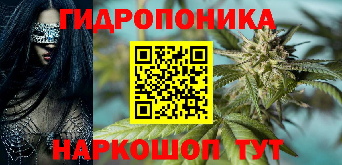 Бошки марихуана VHQ Губаха